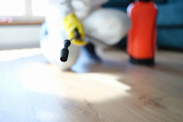 Best Mold Removal for HVAC Installations  in Happy Valley, OR